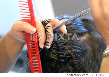 Cutting hair Cutting hair 10113528