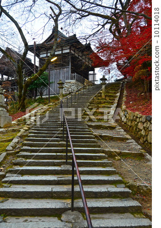 通往Mitsuji（Sonjo-ji）的Kannondo的樓梯（滋賀縣大垣町大津市） 10114018