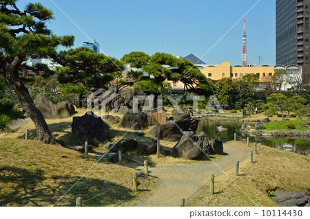 Nakajima老Shiba Rikyu皇宮花園 10114430