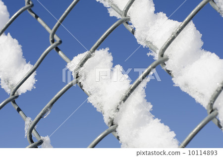 雪在籬笆上 10114893