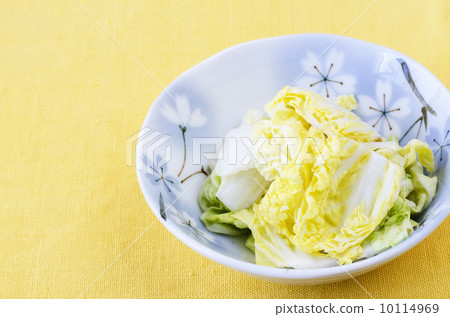 大白菜捲心菜 10114969