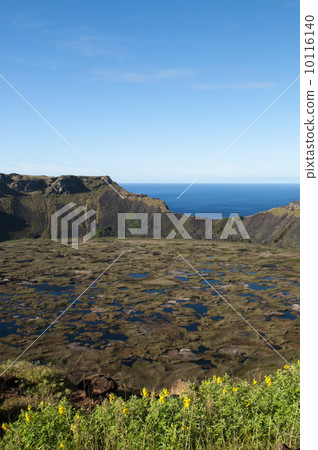 90320 Easter Island Ranakau 90320 Easter Island Ranakau 10116140