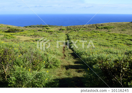 90332 Easter Island Ranakau 90332 Easter Island Ranakau 10116245