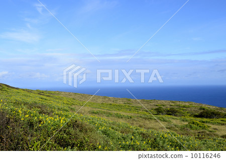 90333 Easter Island Ranakau 90333 Easter Island Ranakau 10116246