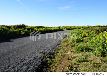 90334 Easter Island Ranakau 90334 Easter Island Ranakau 10116247