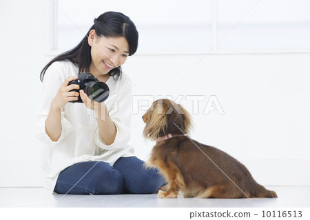 Pet 10116513