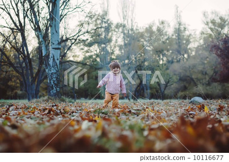 Very cheerful child having fun while tossing up leaves 10116677