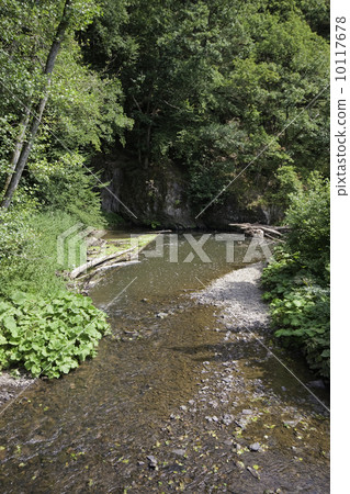 River Lieser between Daun and Manderscheid (Vulkaneifel, Germany 10117678