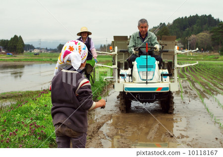 Child rice planting landscape Child rice planting landscape 10118167