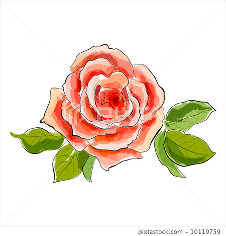 Beautiful red rose. Stylized watercolor illustration 10119759