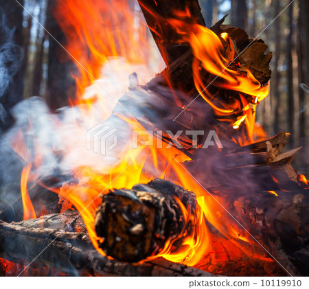 Bonfire Bonfire 10119910