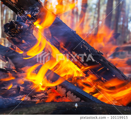 Bonfire 10119915