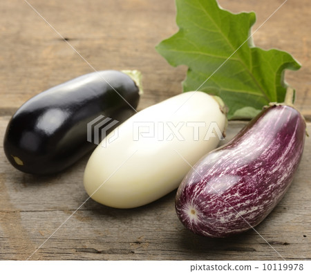Eggplants Eggplants 10119978