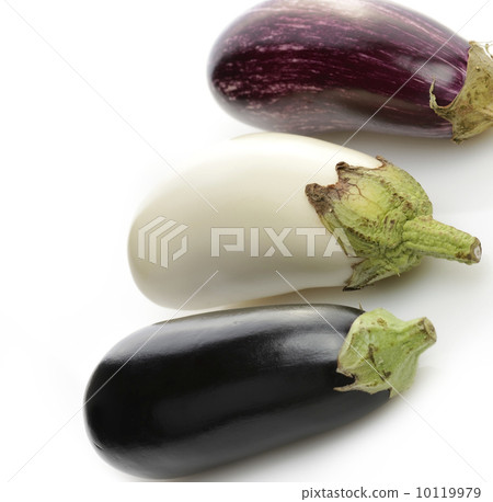 Eggplants Eggplants 10119979
