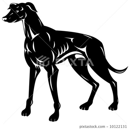 Greyhound Dog Retro 10122131
