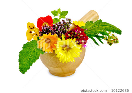 Herbs and flowers in a mortar Herbs and flowers in a mortar 10122686