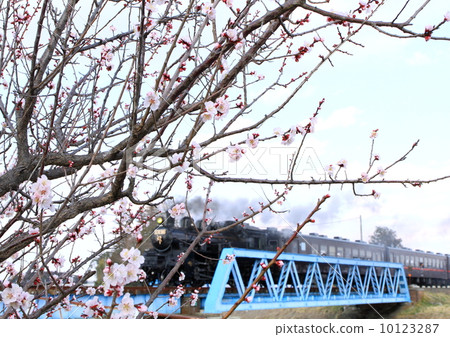 真岡鐵道“春天行駛在高行川大橋上的SL” 10123287