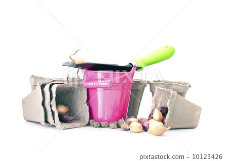 Planting Flowers. Bucket, Shovel, Seeds, Dlay Isolated on White 10123426