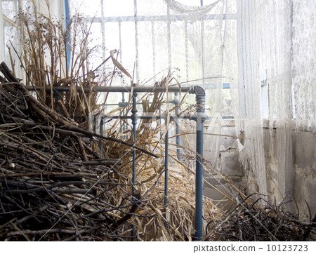 abandoned room abandoned room 10123723