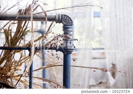 iron bed in abandoned room 10123724