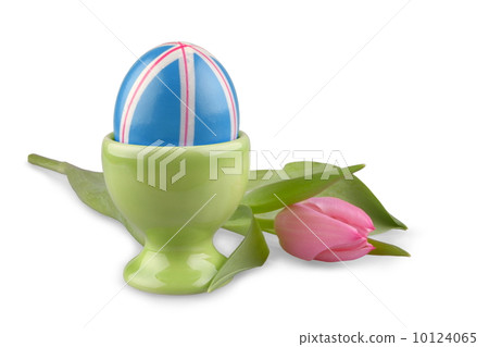 Blue Easter eggs with pink tulip, isolated 10124065