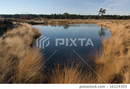 Pond at estate Heidestein (Zeist, the Netherlands) 10124303