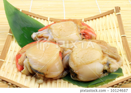 扇貝 扇貝 10124687