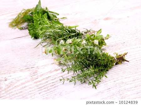 Herbs in bundle on white wooden background 10124839