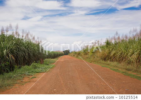 Gravel road in open spaces Gravel road in open spaces 10125514