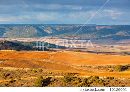 Castilla-La Mancha, Spain at winter 10126091