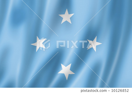 Micronesian flag 10126852