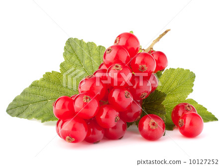Red currants and green leaves still life Red currants and green leaves still life 10127252