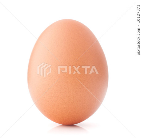 Egg isolated on white background cutout 10127373