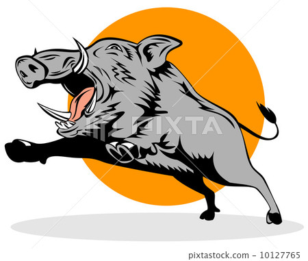 Wild Pig Boar Jumping 10127765
