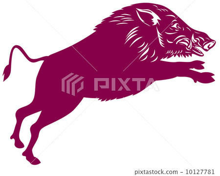 Wild Pig Boar Wild Pig Boar 10127781