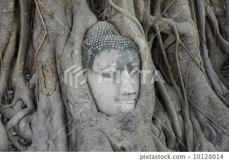Wat Mahathat 10128014