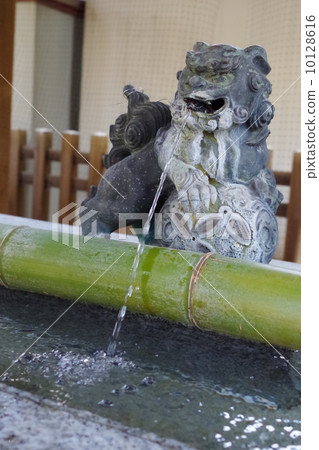 Shimizu Shimizu 10128616