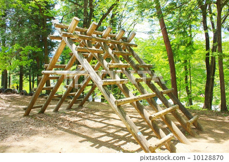Field Athletic (Jungle Gym) 10128870