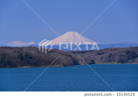Mount Fuji from Sayama Lake 10130528