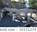 Kurojin在櫻島埋葬了Torii 10131274