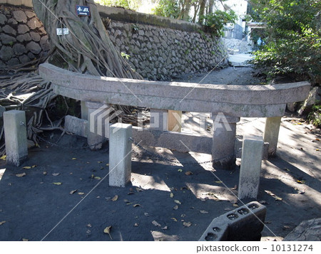 Kurojin在櫻島埋葬了Torii Kurojin在櫻島埋葬了Torii 10131274
