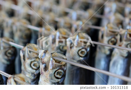乾魚 乾魚 10131318