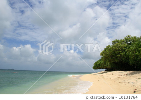South Island Turtle Island 10131764