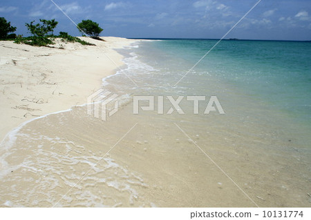 South Island Turtle Island 10131774