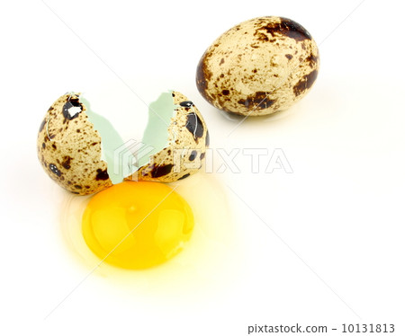 Broken quail egg on white background, close up Broken quail egg on white background, close up 10131813