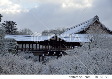 東福寺，雪天宇橋 10131970