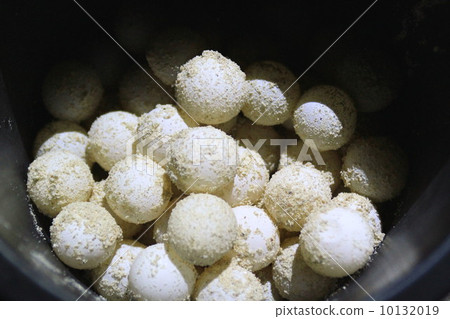 Spawning of sea turtle 10132019