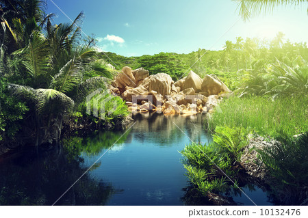 lake in jungle of Seychelles, La Digue island 10132476