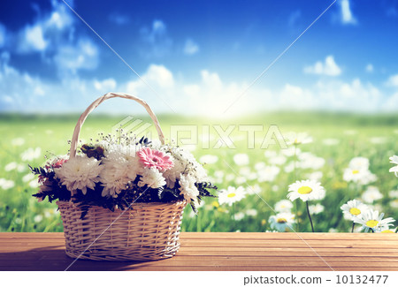 flowers on table and spring field 10132477