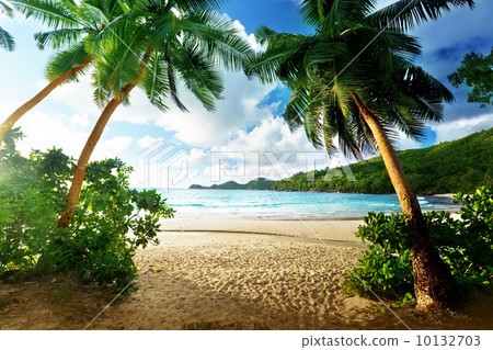 sunset on beach, Mahe island, Seychelles sunset on beach, Mahe island, Seychelles 10132703